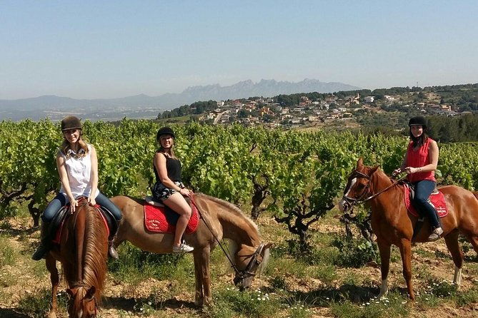 horseback-ride-penedes-wine-tasting-tapas-lunch