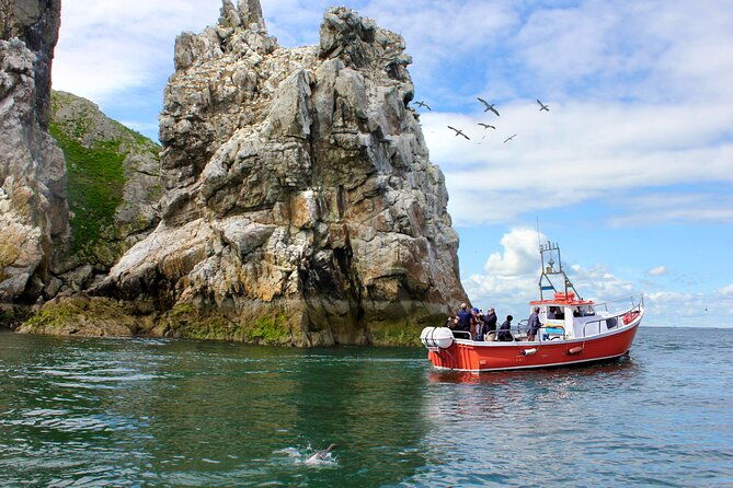 howth-coastal-boat-tour-irelands-eye-ferries-50-mins-trip