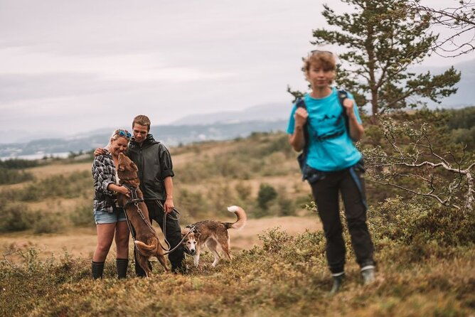 husky-hike-and-puppy-visit-with-lunch