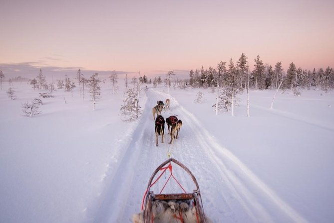 ice-fishing-and-husky