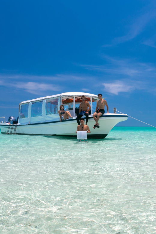 ishigaki-mangrove-river-canoe-phantom-island-snorkeling