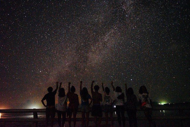 ishigaki-night-jungle-tour