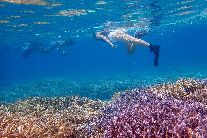 ishigaki-phantom-island-snorkeling-%ef%bc%86-kabira-bay-sup-or-canoeing