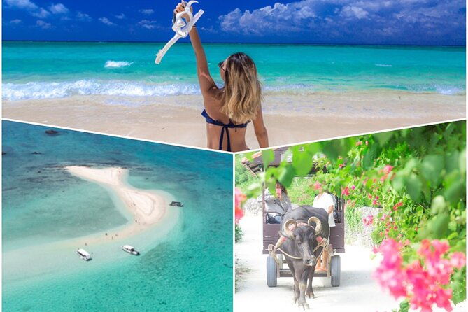 ishigaki-phantom-island-snorkeling-taketomi-island-sightseeing