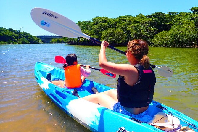 ishigakimangrove-sup-canoe-tour