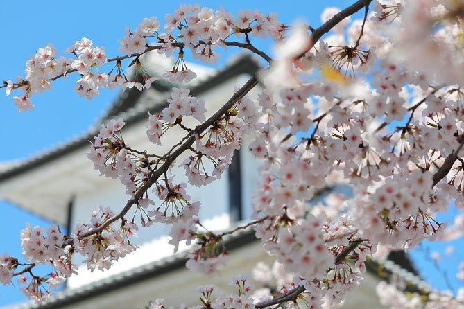kanazawa-private-1-day-photoshoot-by-professional-photographer