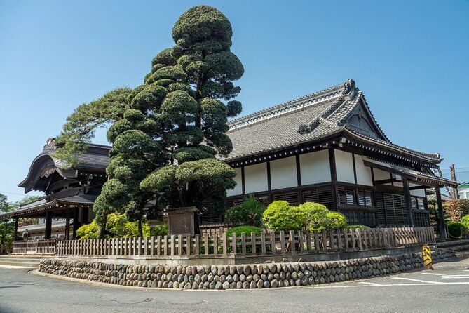 kawagoe-sightseeing-and-experience-tour-to-harvest-local-foods