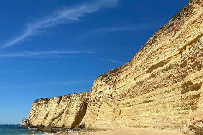 kayak-tours-with-amazing-caves-sea-life-and-marine-biologist