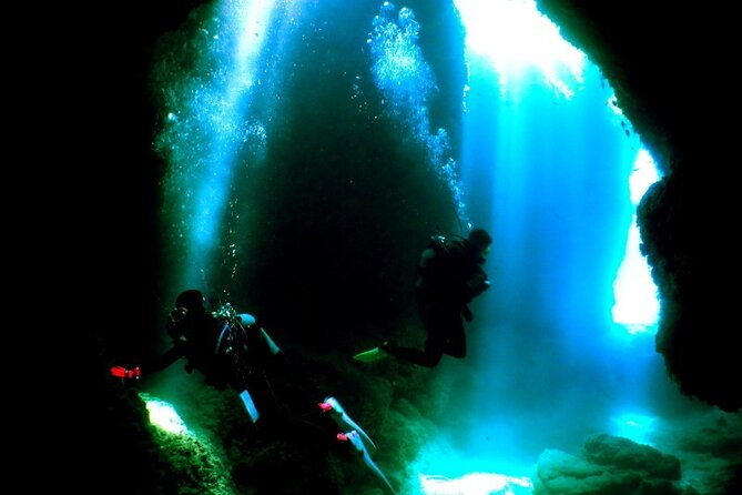 kerama-islands-experience-dive-snorkeling-whale-watching-service