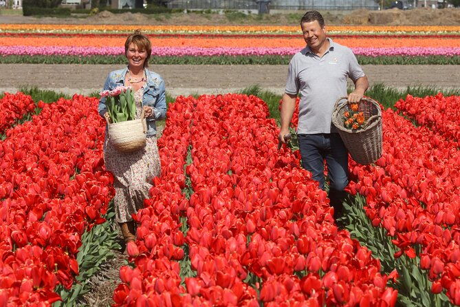 keukenhof-tulip-farm-windmill-cruise-day-tour-from-amsterdam
