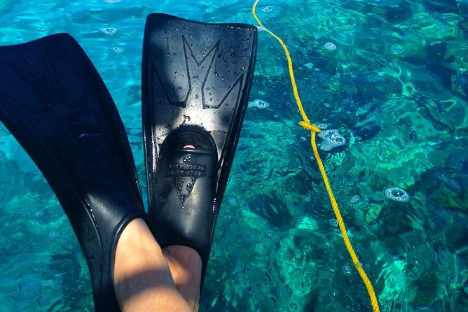key-west-reef-snorkel-sail-adventure