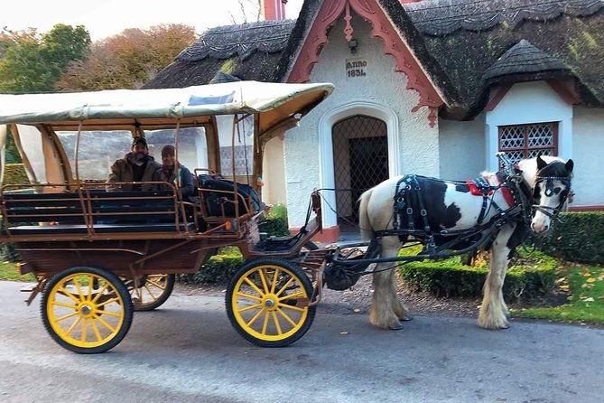 killarney-national-park-tour