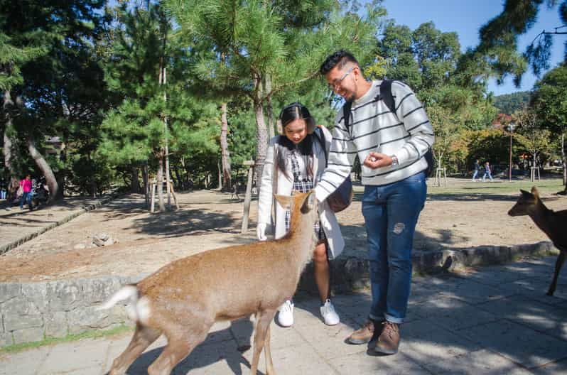kobe-private-shore-excursion-to-kyoto-osaka-or-nara