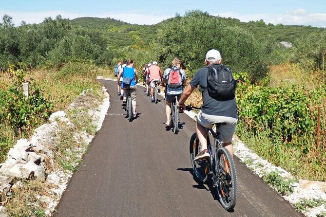 korcula-bike-wine-tour-mountain-bike-tour