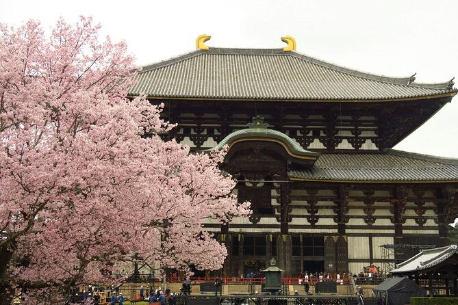 kyoto-and-nara-deer-sightseeing-day-trip-from-osaka