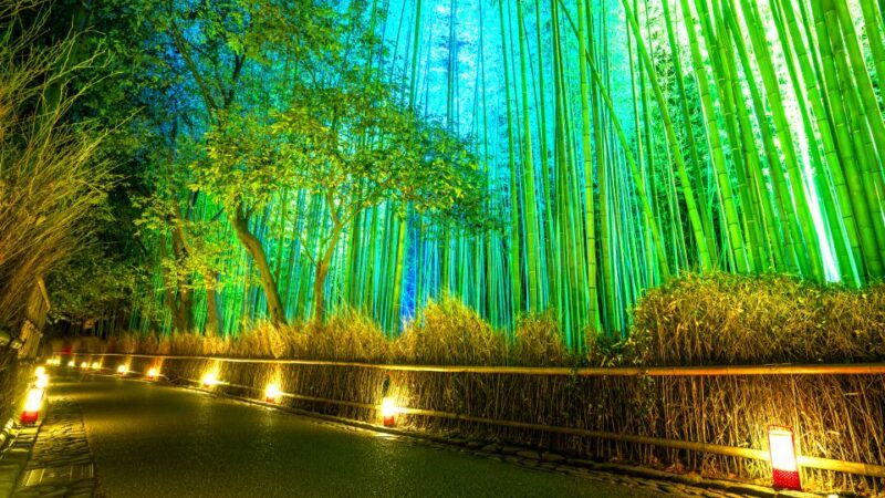 kyoto-japanese-gardens-private-customizable-tour
