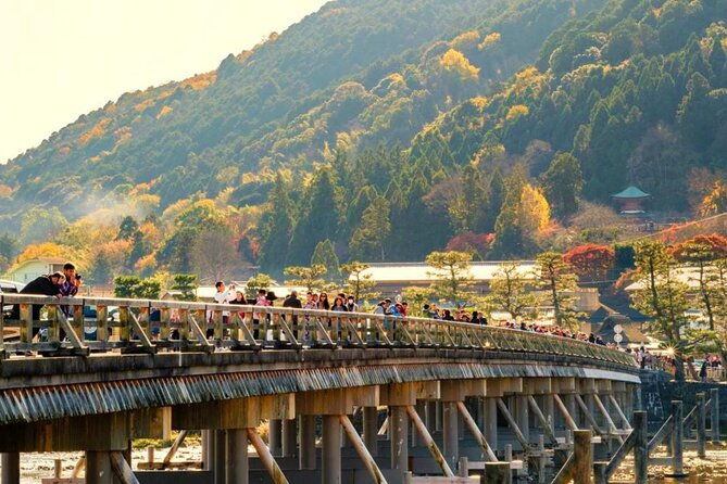 kyoto-nara-day-tour-golden-pavilion-fushimi-inari-deer-park