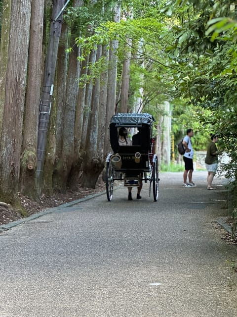 kyoto-private-4-hour-tour-of-arashiyama-avoid-the-crowds