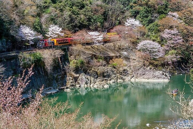 kyoto-sagano-romantic-train-with-cherry-blossoms-bus-tour