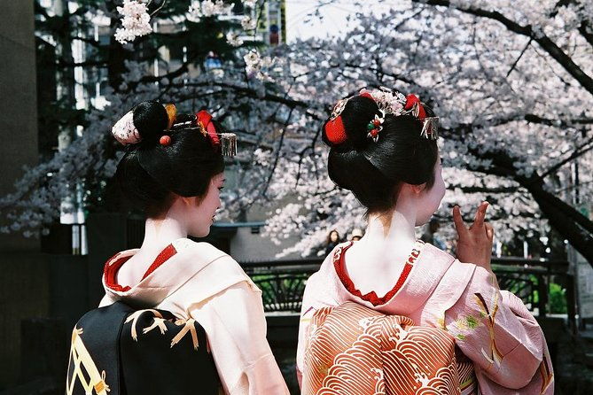 kyoto-spring-evening-cherry-blossom-food-tour