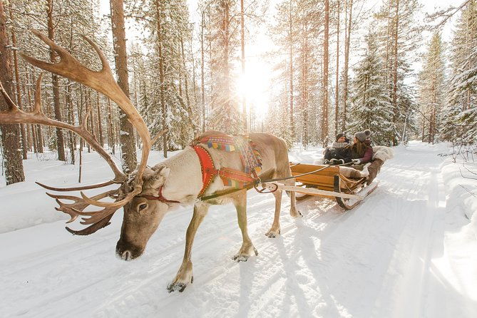 lapland-reindeer-and-husky-safari-from-rovaniemi