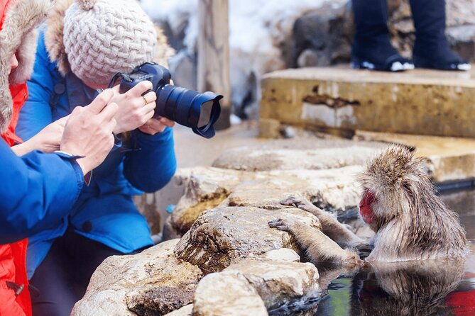 local-private-tour-to-jigokudani-snow-monkey-park