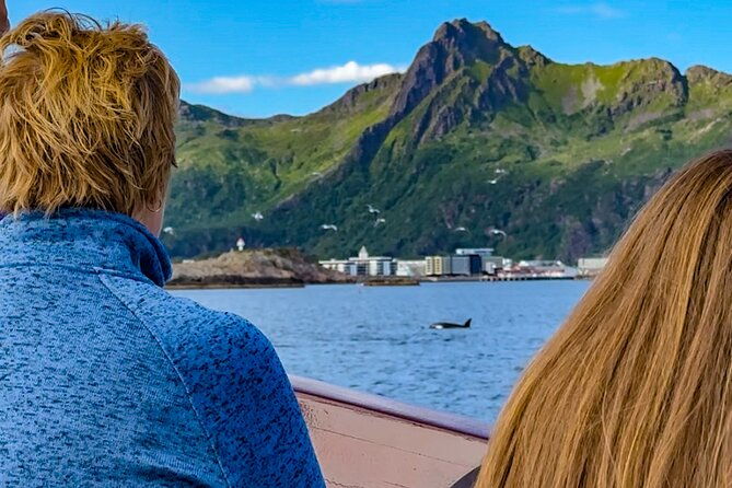 lofoten-islands-luxury-midnight-sun-sail-from-svolvaer