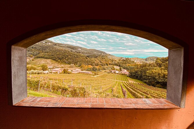 lucca-wine-tasting-experience-tenuta-adamo-winery