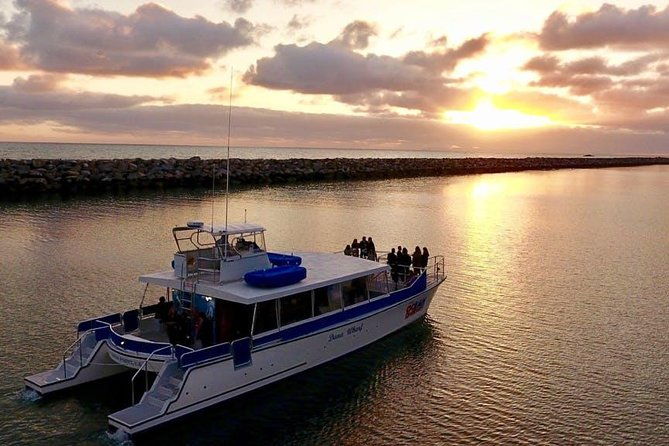 luxury-catamaran-sunset-and-wine-cruise-from-dana-point