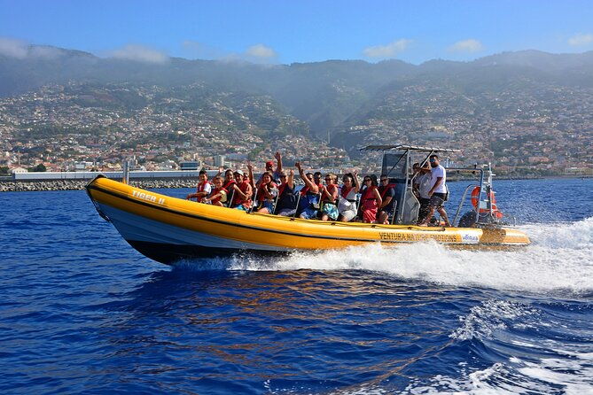 madeira-dolphin-whale-watching-tour
