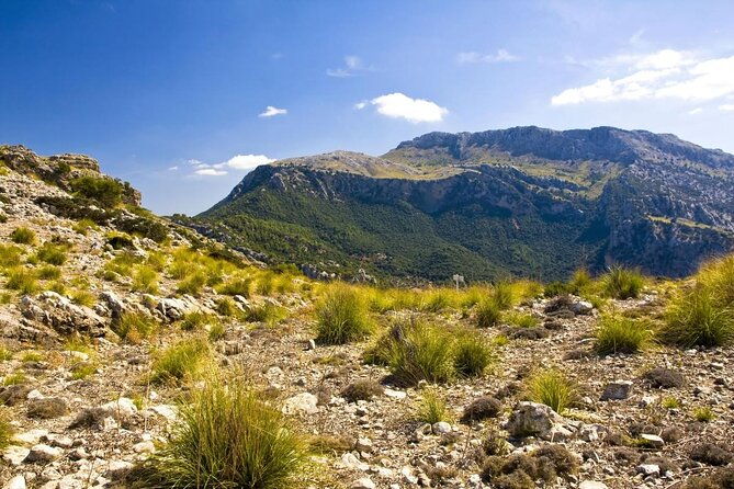 mallorca-in-one-day-sightseeing-tour-with-boat-ride-and-vintage-train