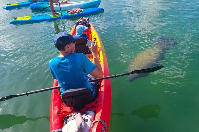 mangroves-manatees-and-a-hidden-beach-kayak-tour