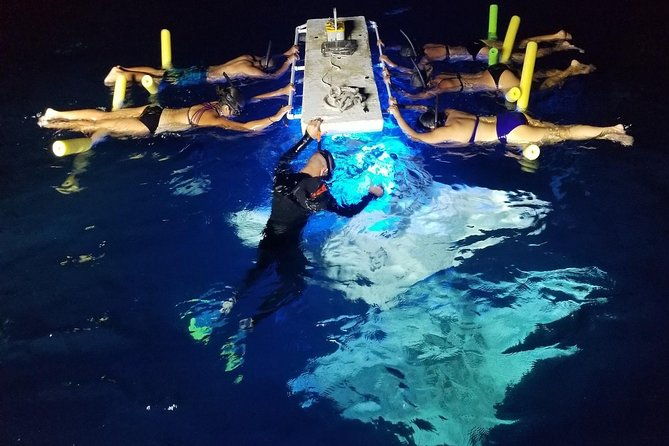 manta-ray-night-snorkel-guaranteed-sightings-kona-hawaii