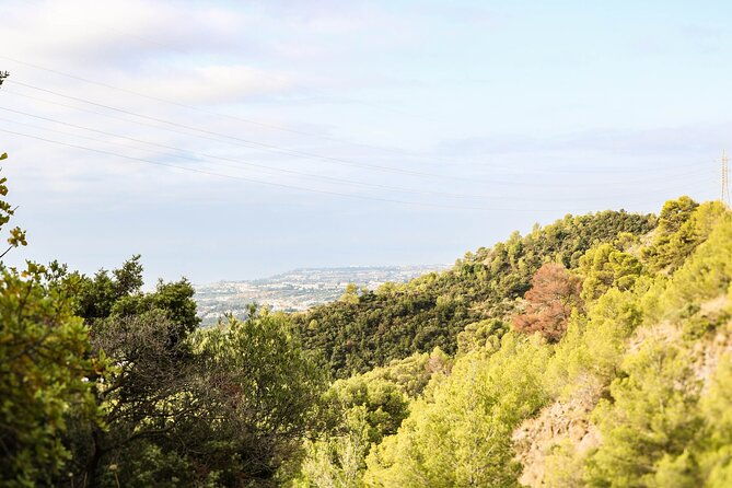 marbella-guided-hiking-and-foraging-adventure
