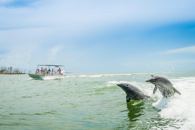 marco-island-dolphin-sightseeing-tour
