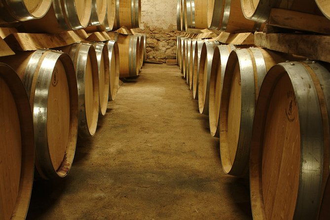 marseille-shore-excursion-full-day-wine-tour-in-provence
