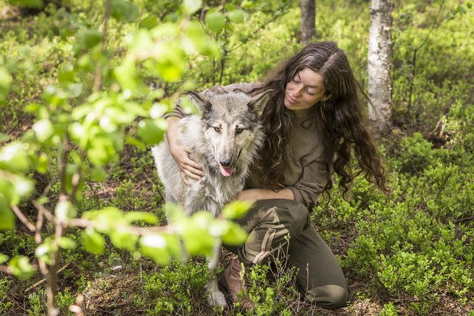 meet-taivas-the-arctic-wolves-private-tour