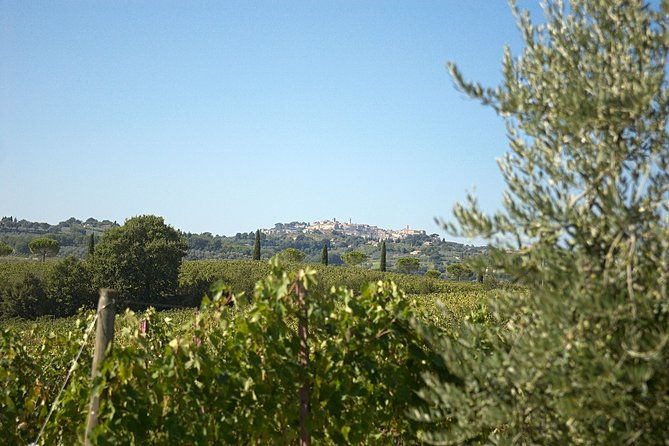 menu-with-a-view-in-the-enchantment-of-the-tuscan-hills