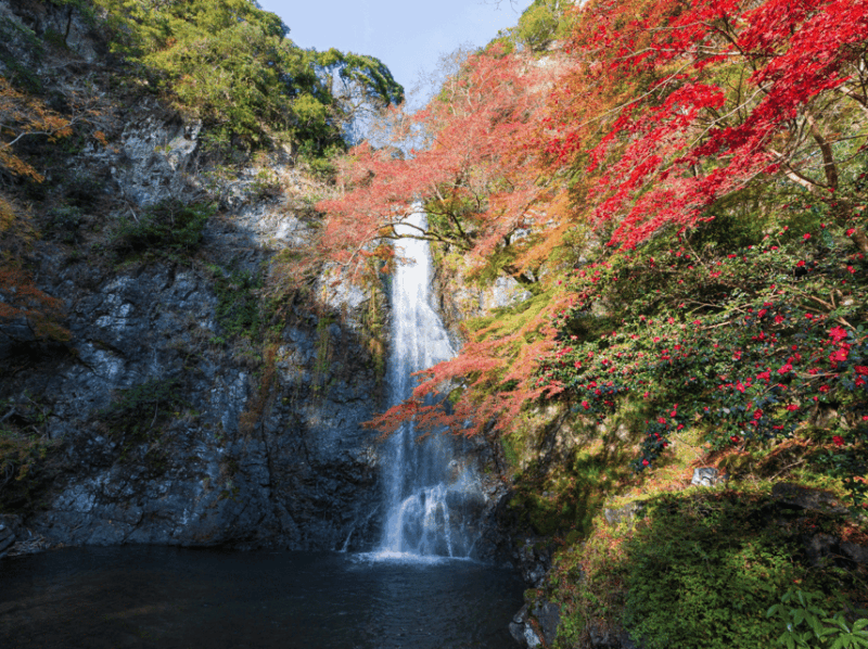 minoo-park-guided-nature-walk