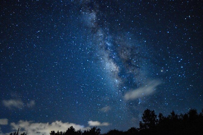 miyako-island-jungle-night-tour-and-starry-sky-viewing