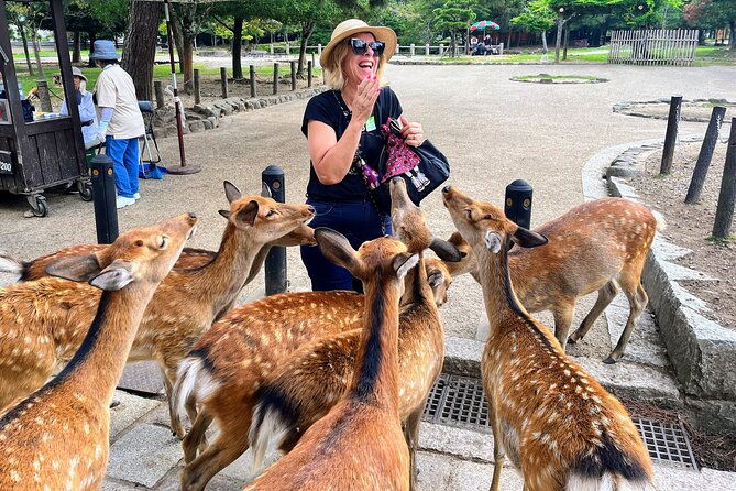 morning-wonder-world-heritage-nara-guided-tour