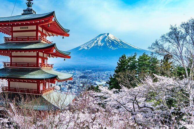 mount-fuji-and-hakone-day-trip-with-english-professional-guide
