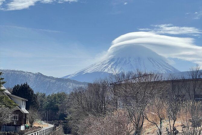 mount-fuji-customizable-one-day-private-guided-tour-from-tokyo-2