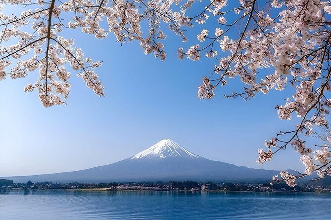 mount-fuji-full-day-private-tour-2