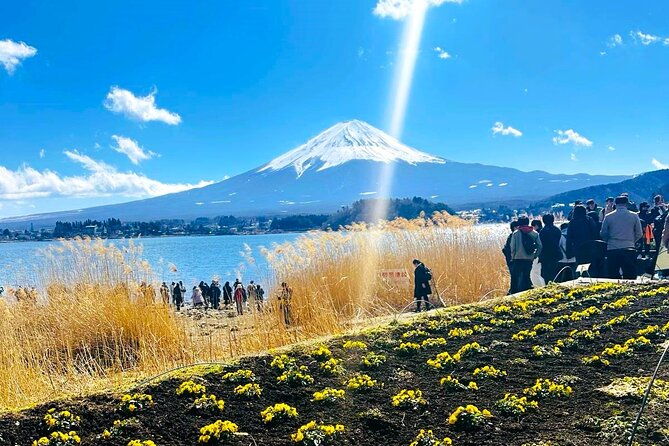 mount-fuji-full-day-private-tour
