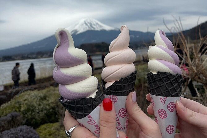 mount-fuji-hakone-private-customized-sightseeing-english-trip