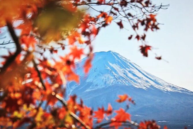 mount-fuji-private-tour