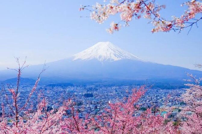 mount-fuji-sightseeing-day-tour-with-english-speaking-driver
