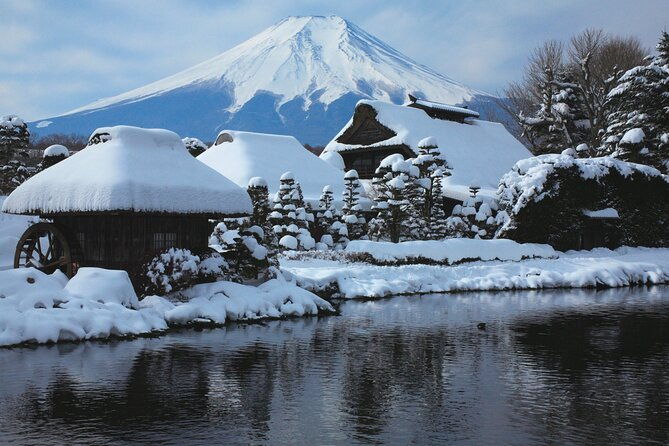 mount-fuji-sightseeing-one-day-tour-from-tokyo