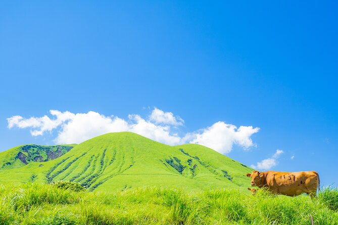 mt-aso-and-kumamoto-castle-shared-bus-tour-from-fukuoka
